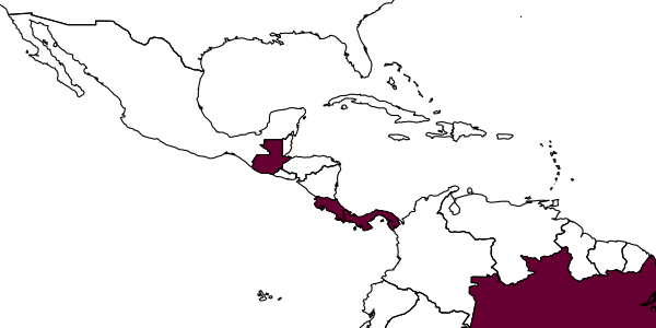 map of Ptiloglossa rugata     Moure, 1945